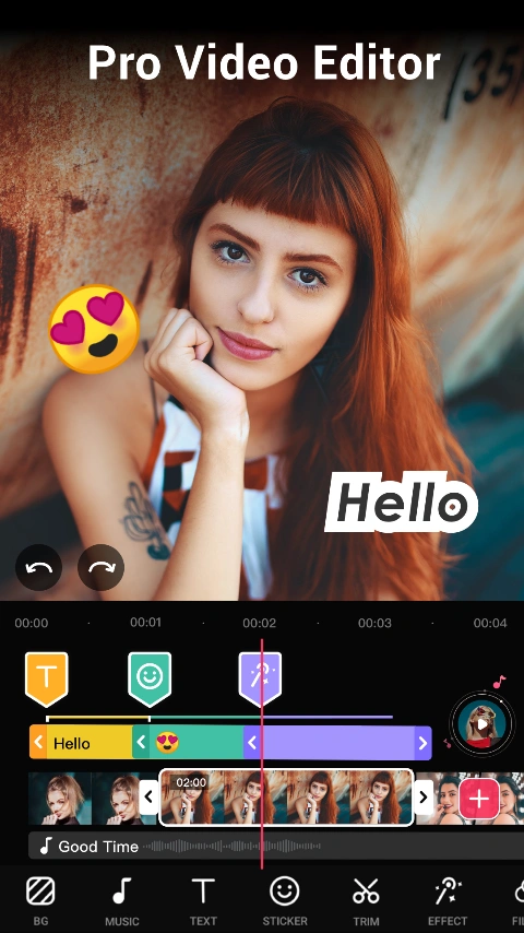Video Maker pro