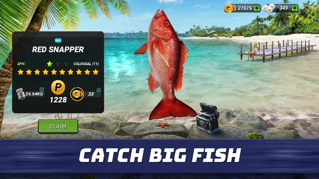 fishing clash codes