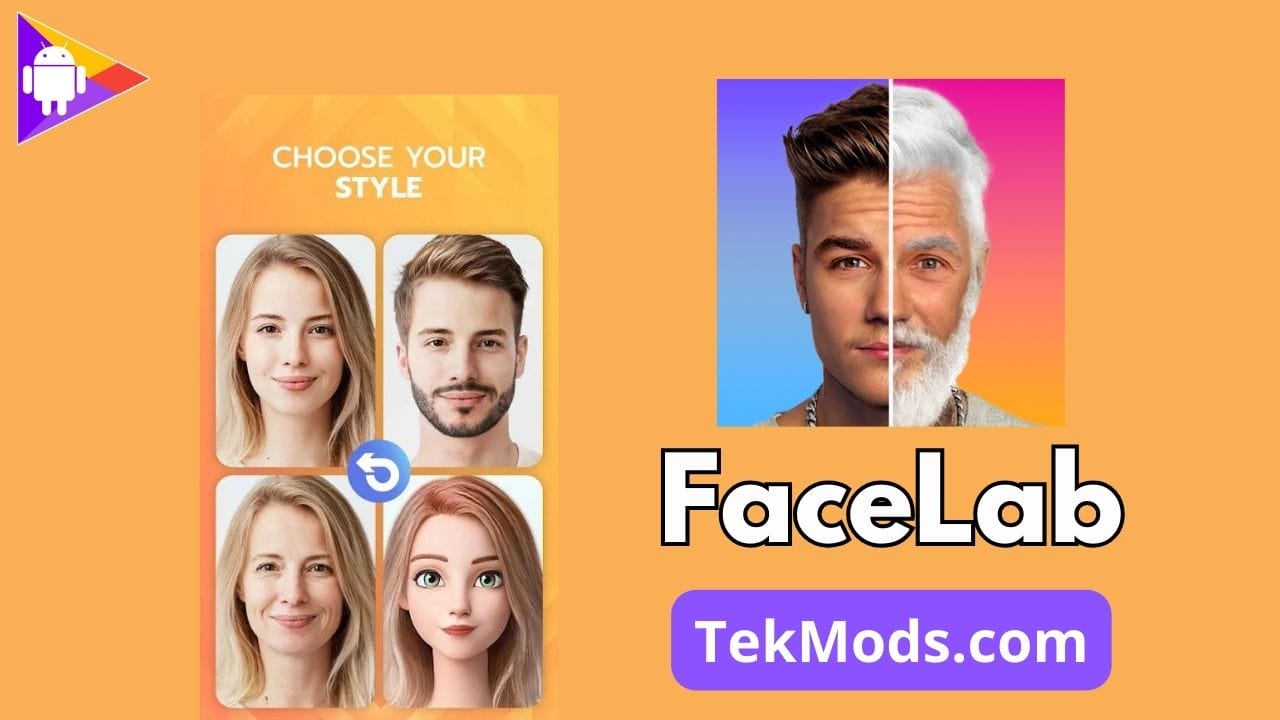 FaceLab Face Editor