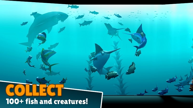 Creatures Of The Deep Fishing Apk Mod