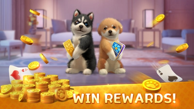 Solitaire Dog Card Game Apk Download