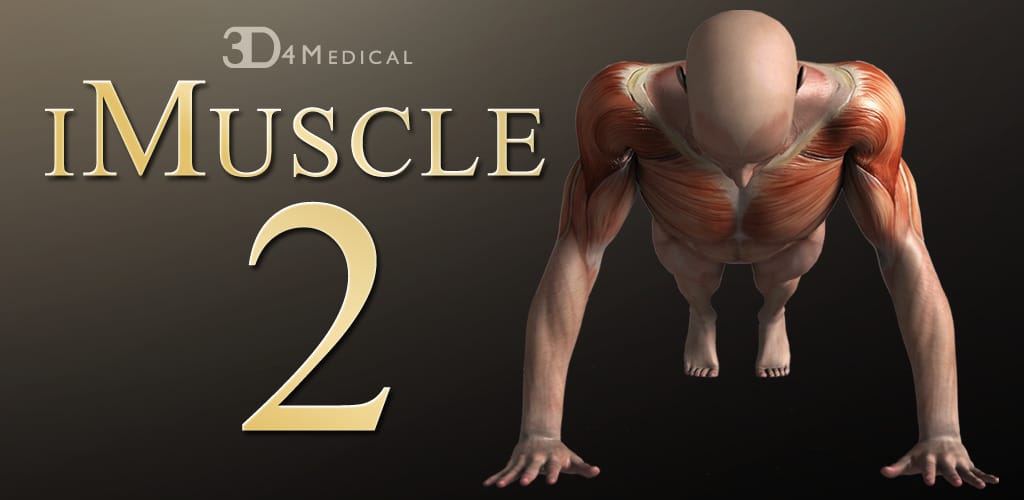 iMuscle 2