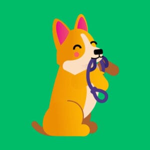 Dogo – Adestrar Cachorro
