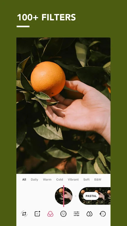 Pomelo Apk Premium 2023