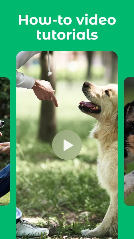Dogo Puppy And Dog Training Apk Android
