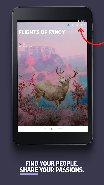 Flipboard Brasil