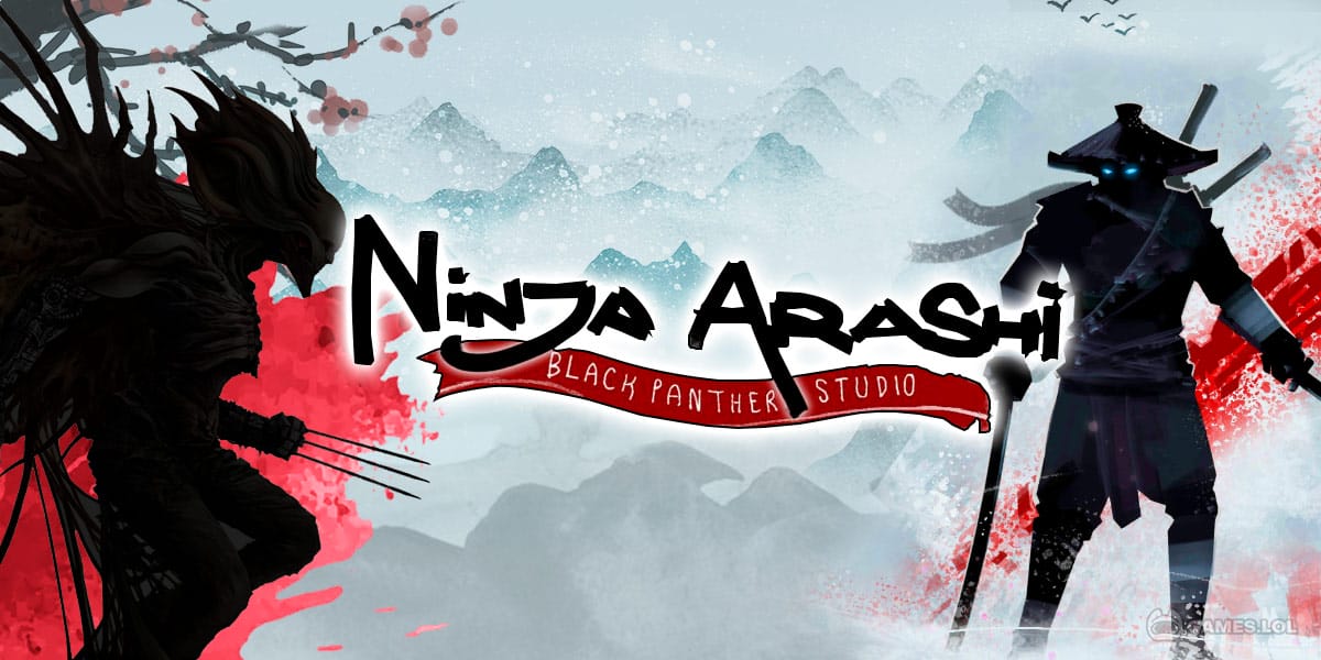 Ninja Arashi
