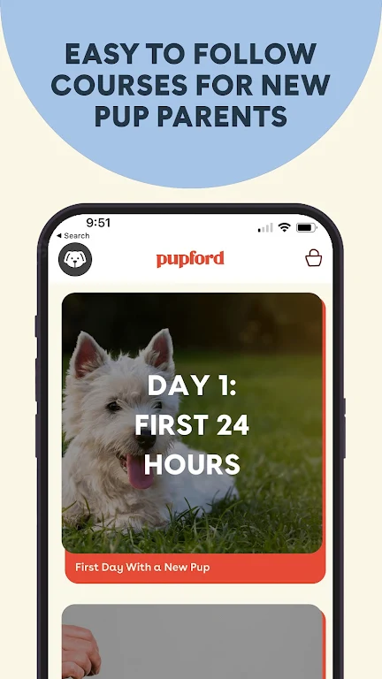 Pupford Baixar Apk Mod