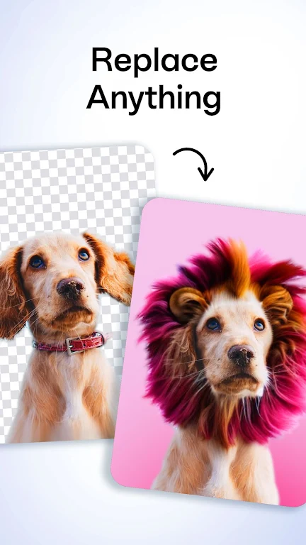 Bazaart Apk Download