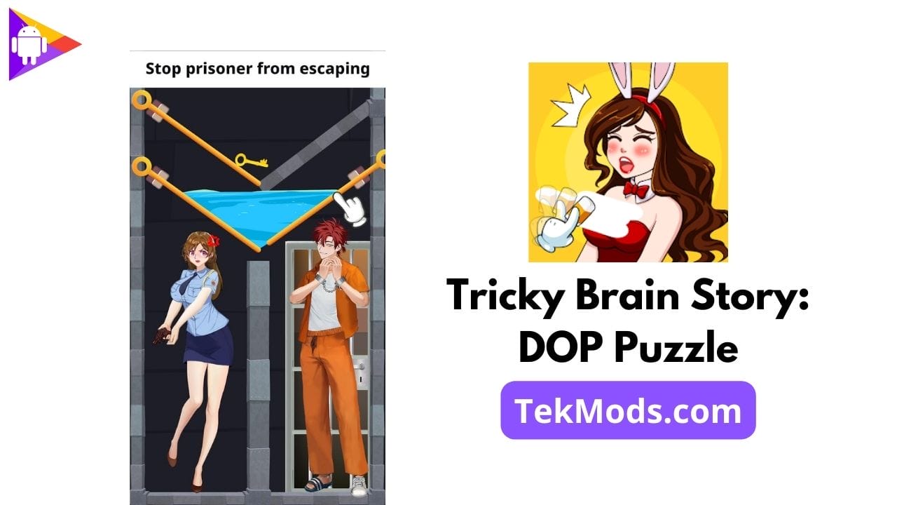 Tricky Brain Story: DOP Puzzle