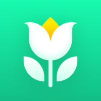 Plant Parent – Guia de Cuidados