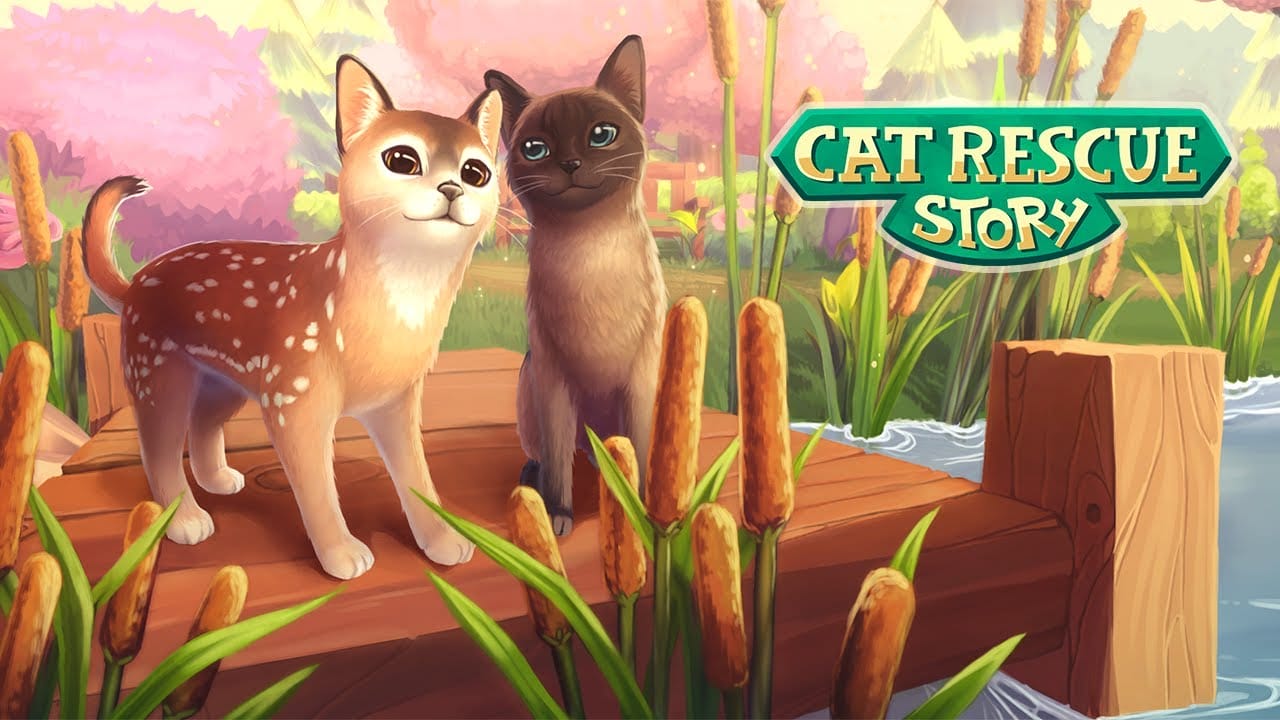 Cat Rescue Story: Lar de Gatos