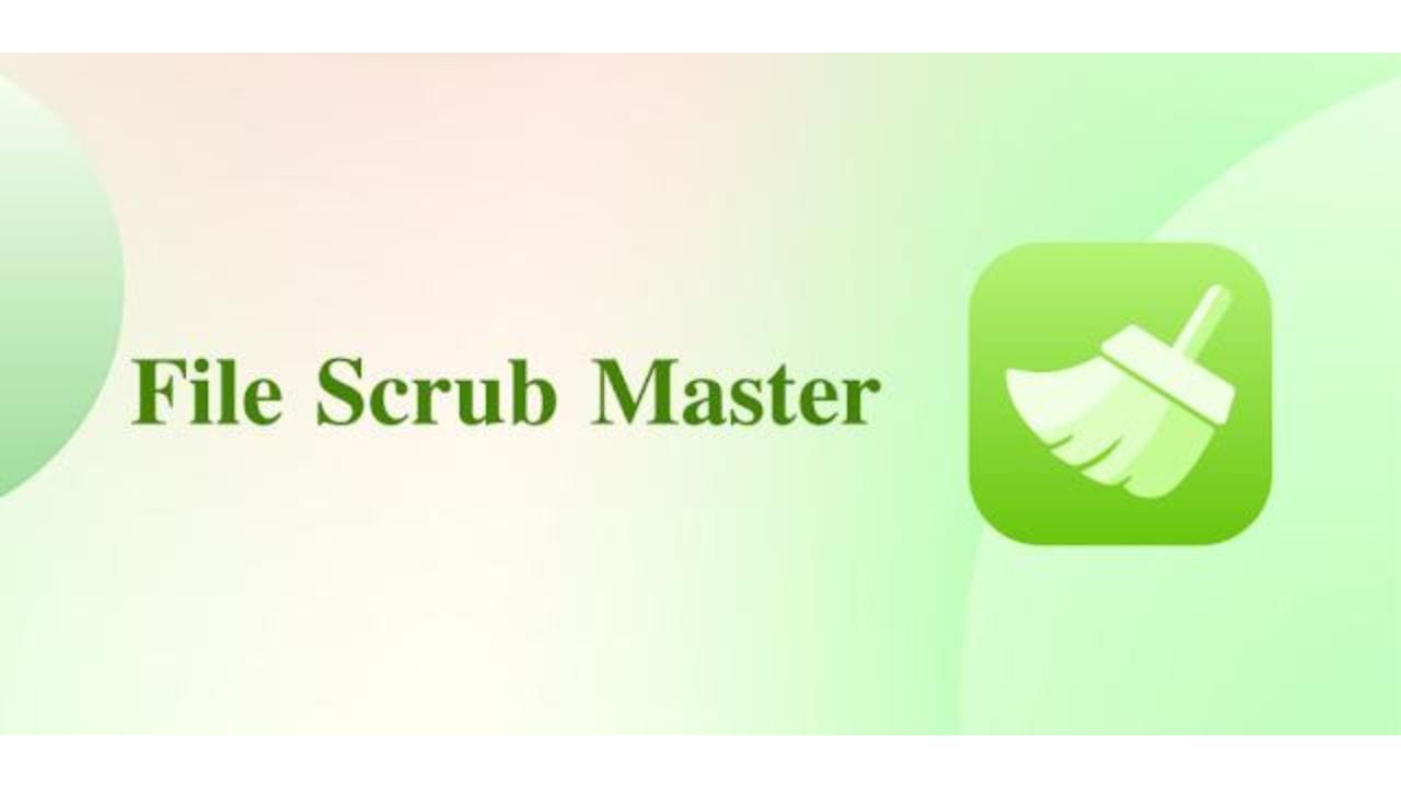 File Scrub Master