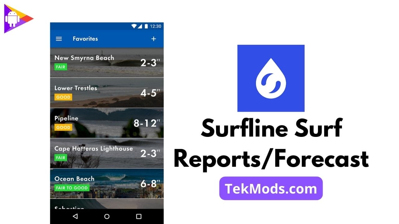Surfline Surf Reports/Forecast