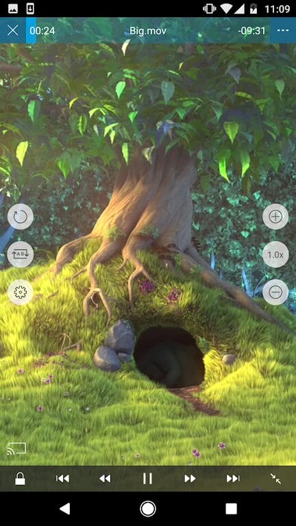 Download Nplayer