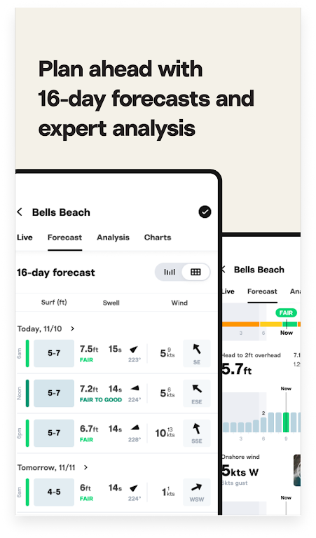 Surfline Mod Apk