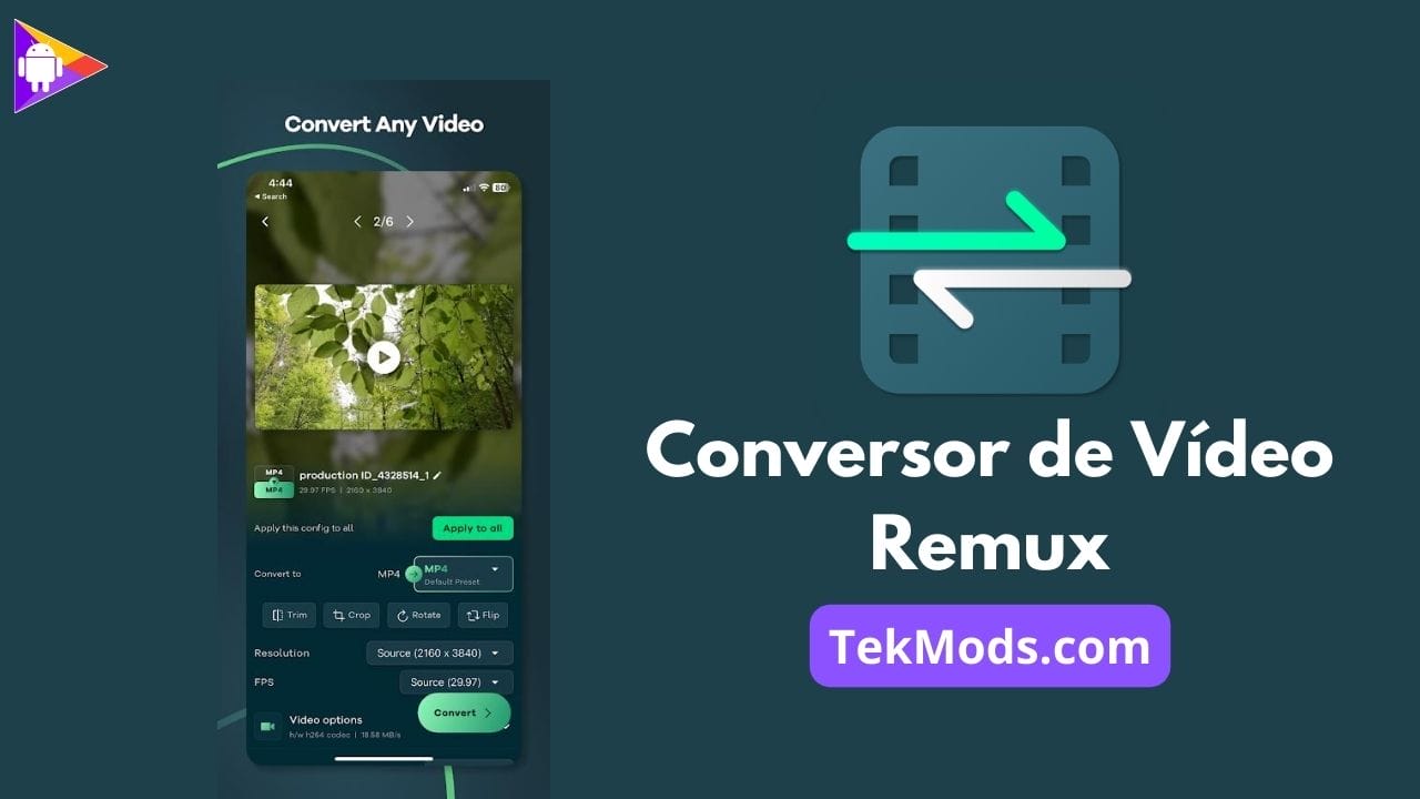Conversor De Vídeo - Remux