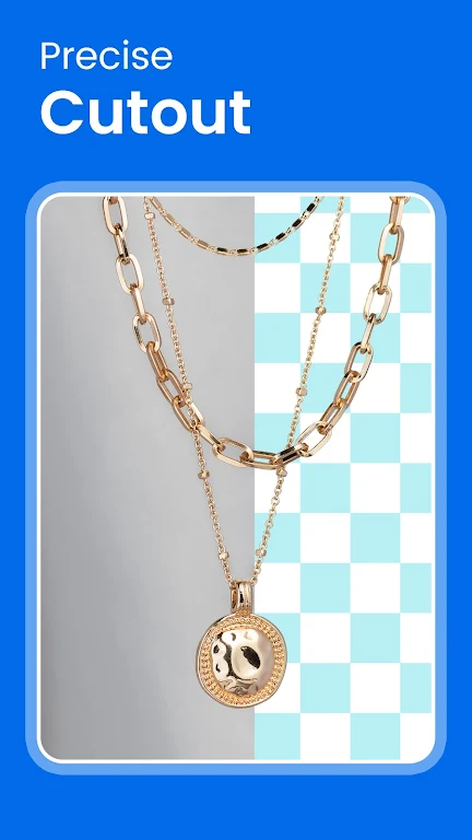 Download Picwish Premium Mod Apk