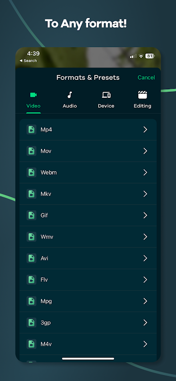Download Video Converter Remux