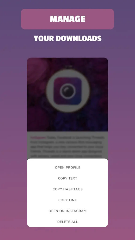 Insget App Download