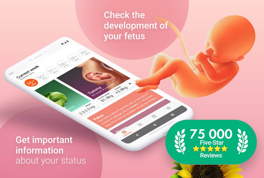Pregnancy and Due Date Tracker Mod Apk