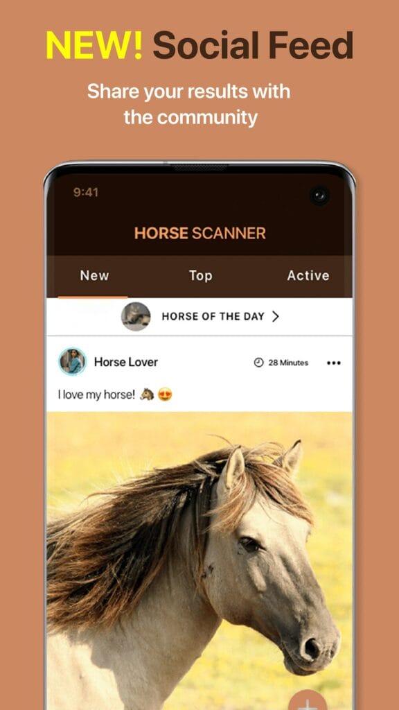 Horse Scanner Download Apk