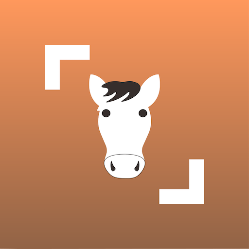 Horse Scanner.png