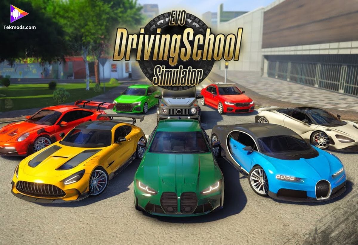 Driving School Simulator: Evo