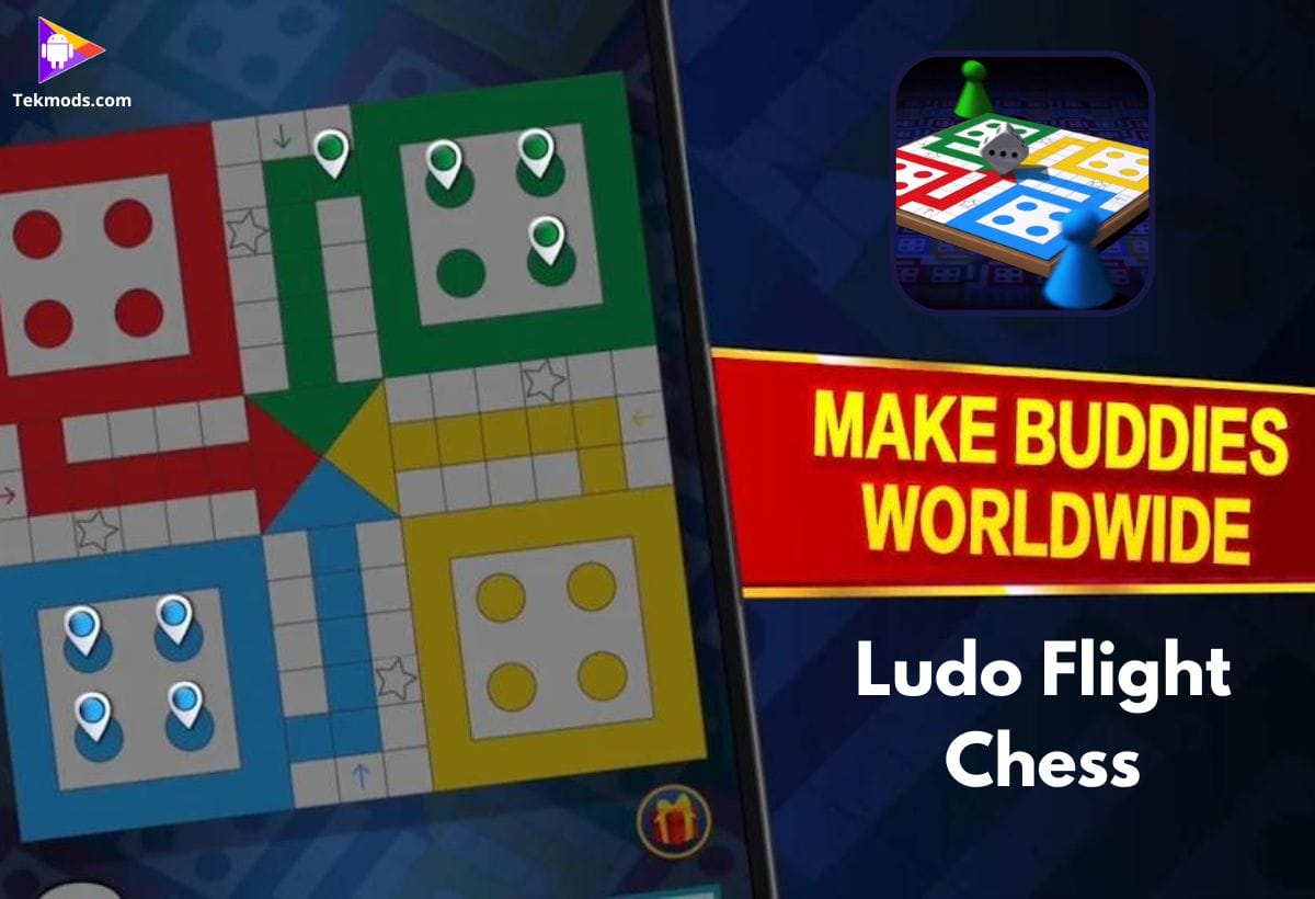 Ludo Flight Chess