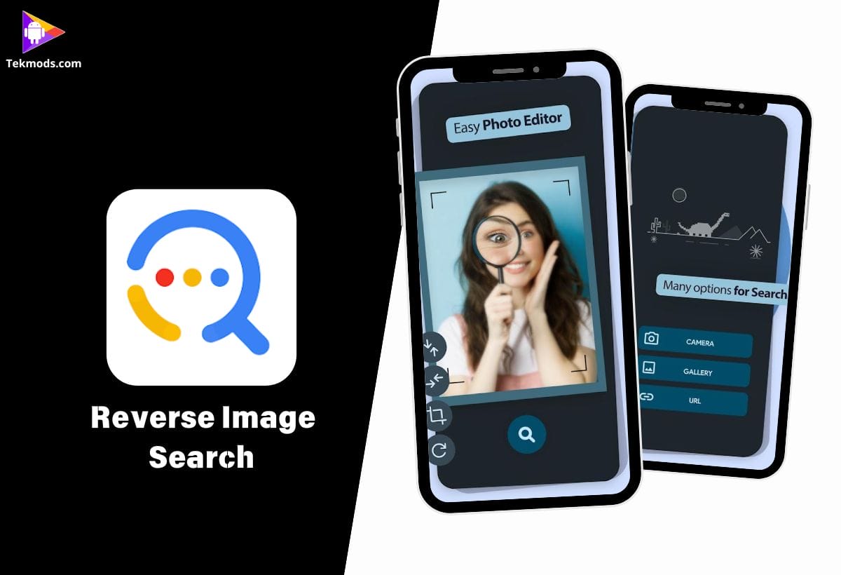 Reverse Image Search - Multi