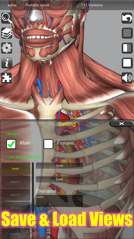 3D Anatomy Apk Mod