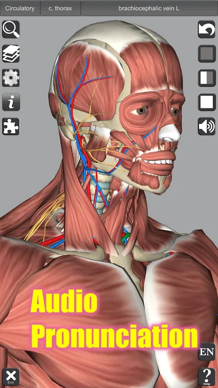 3D Anatomy Android