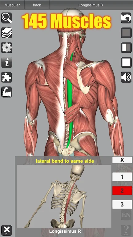 3D Anatomy Download
