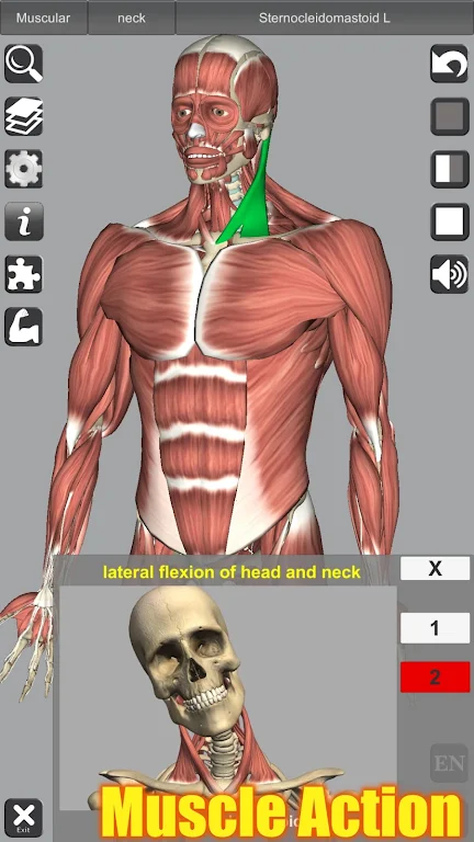 3D Anatomy Mod Apk Download