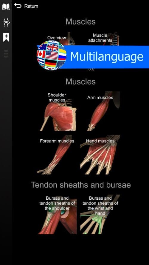 Anatomy Learning App