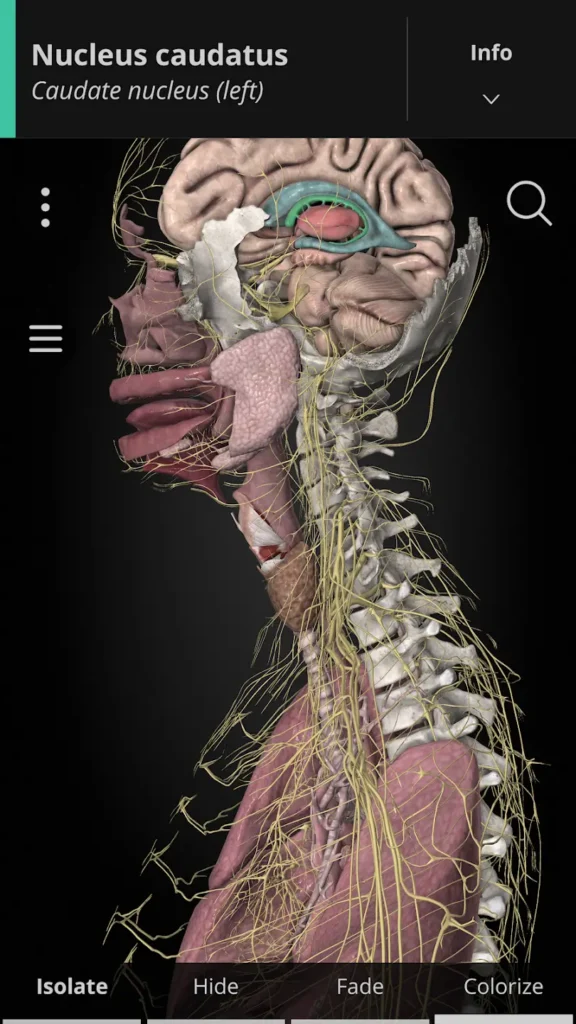 Anatomyka Mod Apk