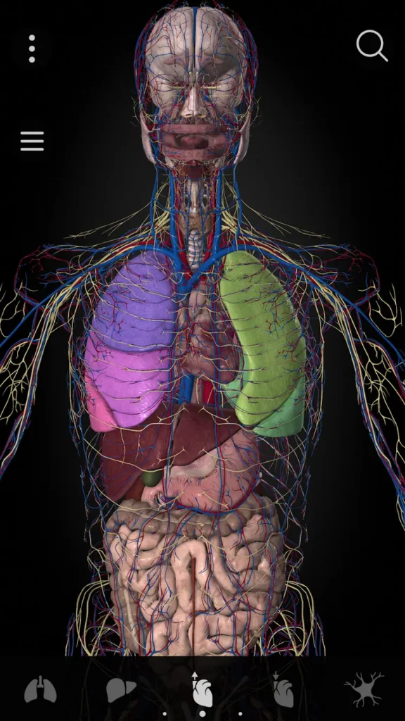 Anatomyka Premium Apk