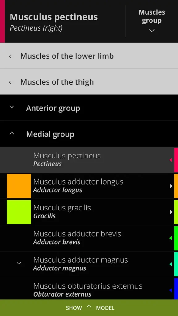 Anatomyka Download