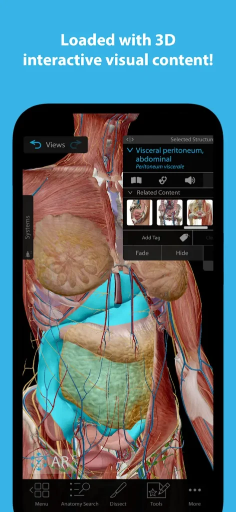Human Anatomy Atlas Grátis
