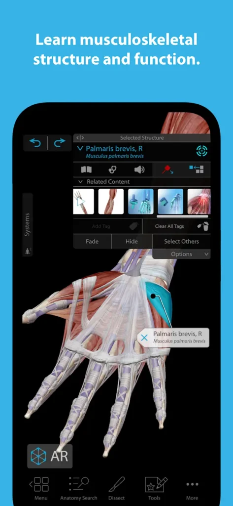 Human Anatomy Atlas Apk Free