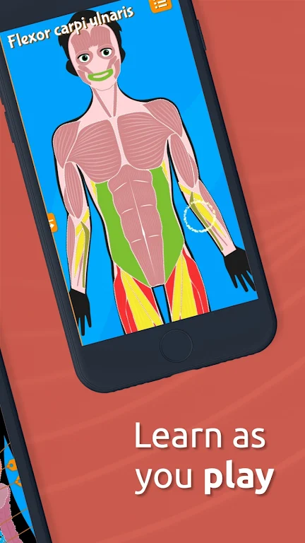 Human Anatomy Body Parts Download Apk