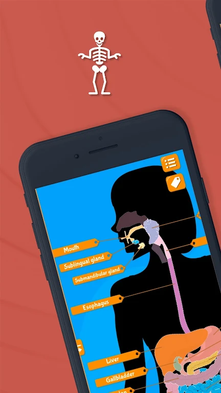 Human Anatomy Body Parts Mod Apk