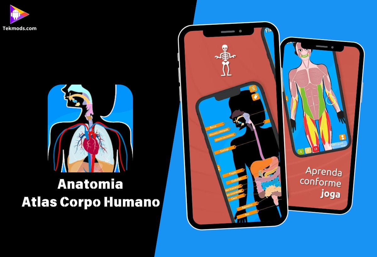 Anatomia - Atlas Corpo Humano
