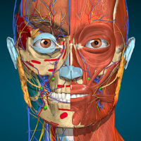 Anatomy Learning – Anatomia 3D