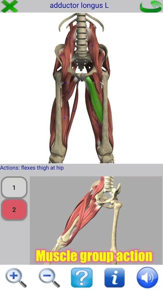 Visual Anatomy 2 Download Apk