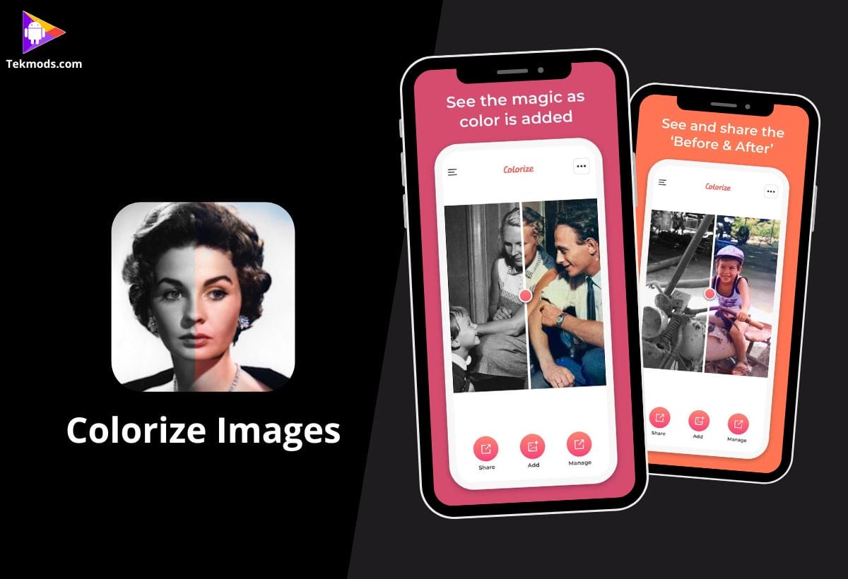 Colorize Images