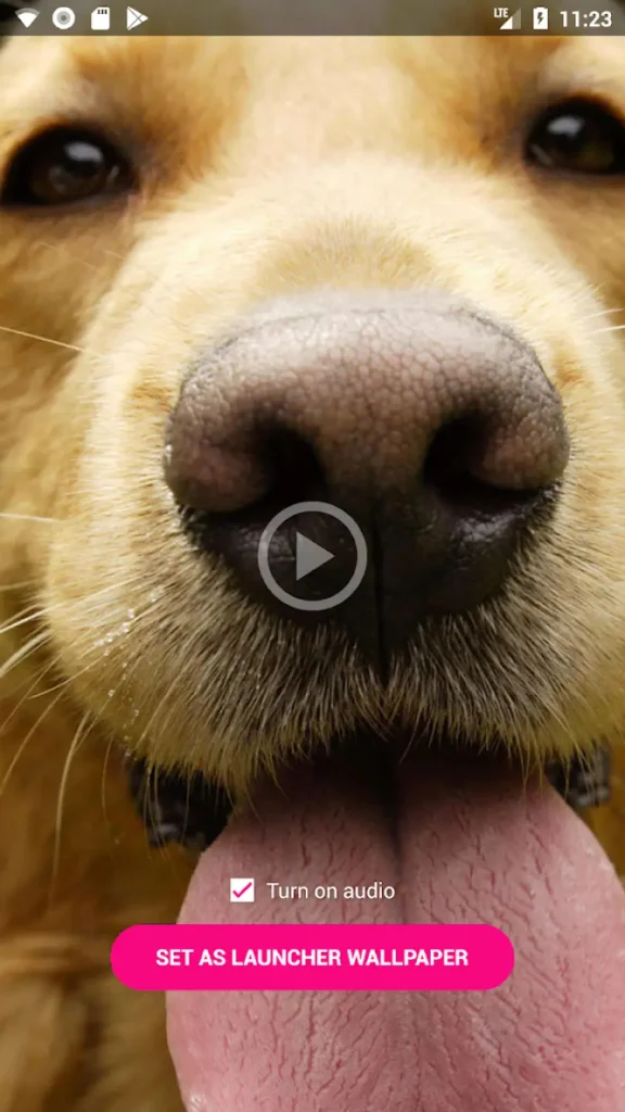 Download Video Wallpaper For Android