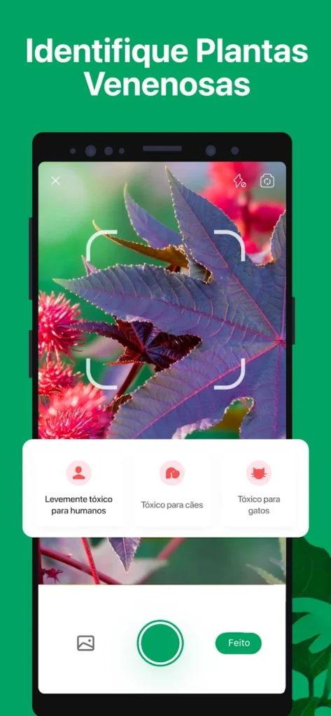 Aplicativo Picturethis