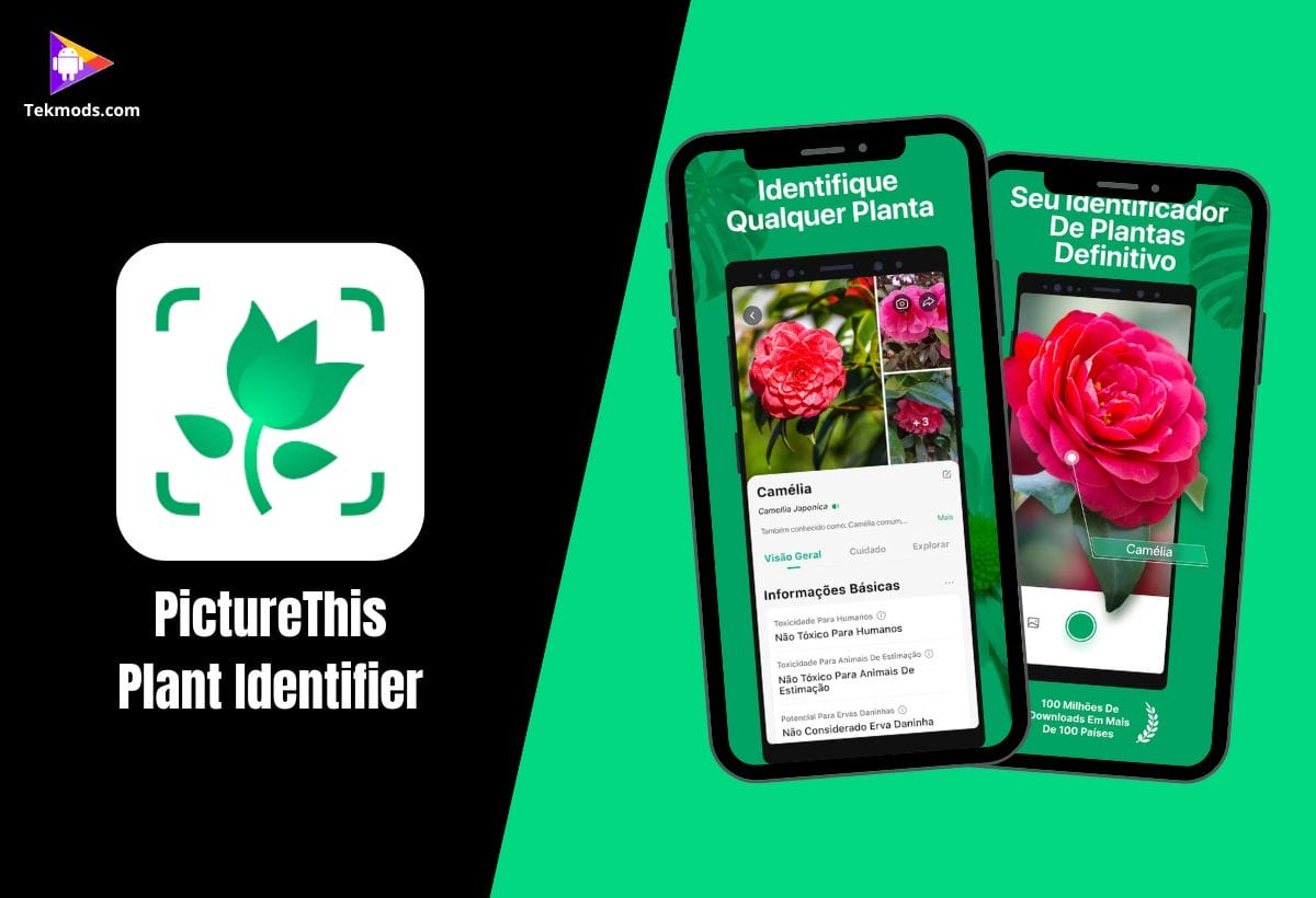 PictureThis - Identificar Planta