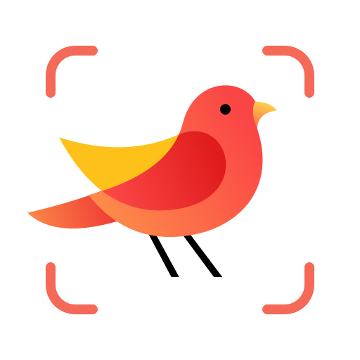 Picture Bird Identificar Ave.png